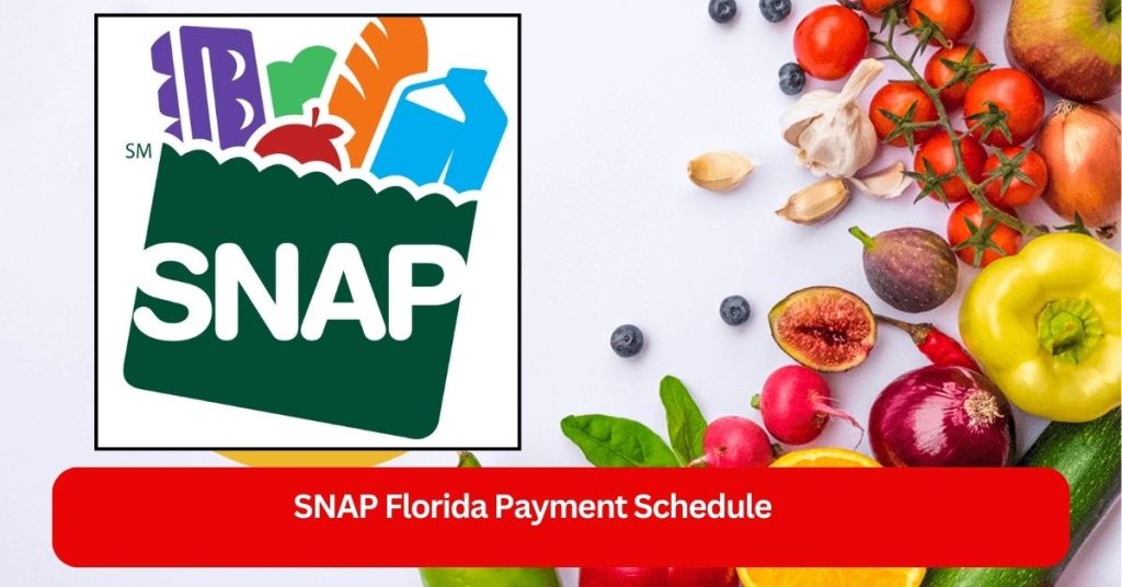 Florida SNAP Payment Schedule for August 2024: Who Qualifies for Benefits?
